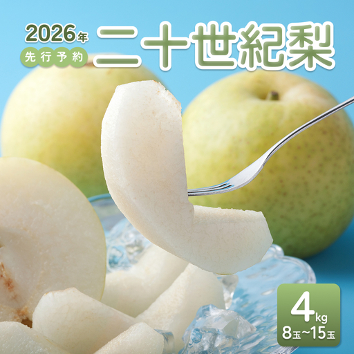 【2026年 先行予約】二十世紀梨 4kg｜鳥取 東光園 梨 2026年収穫後 2026年8月下旬から順次発送【41052】