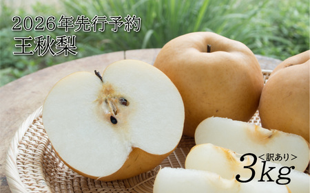 [2026年 先行予約]訳あり 王秋梨 3kg|鳥取 山根農園 梨 2026年収穫後[41065]