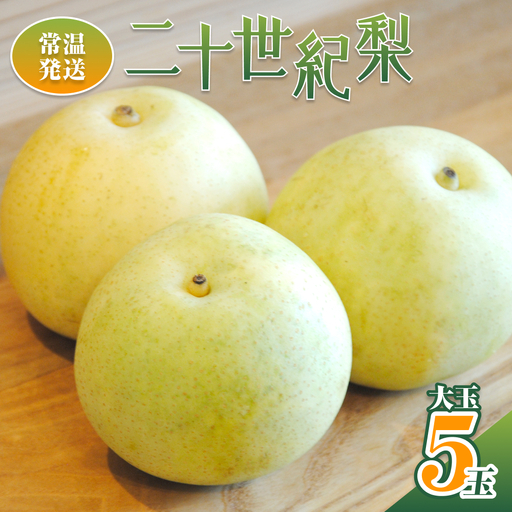 [2026年 先行予約]二十世紀梨 大玉5玉入り※常温発送|鳥取 井上農園 梨 なし ナシ 青梨 果物 フルーツ 4L〜5L[41085]