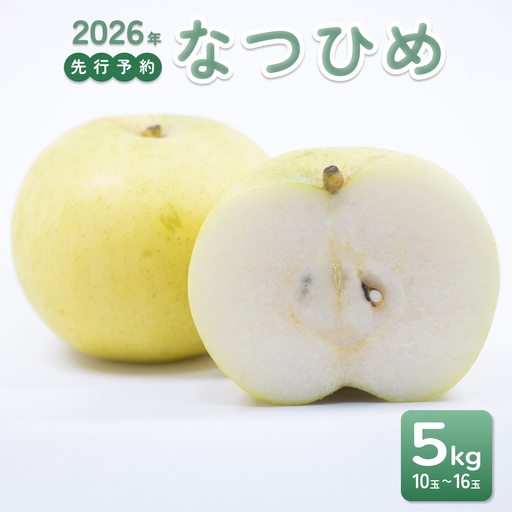 【2026年 先行予約】なつひめ 5kg｜鳥取 東光園 梨 2026年収穫後 2026年8月下旬頃～順次発送※着日指定不可【41067】