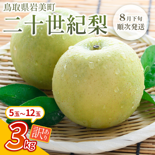 【先行予約】（訳あり）中野農園 梨 ”二十世紀梨” 3kg｜鳥取 岩美 梨 なし ナシ 20世紀梨 青梨 果物 フルーツ ※お届けは2026年8月下旬頃～【41071】