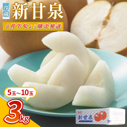 【先行予約】中野農園 梨 ”新甘泉” 3kg 冷蔵便｜鳥取 岩美 梨 なし ナシ 赤梨 果物 フルーツ ※お届けは2026年8月下旬頃～【41079】