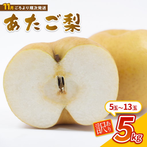 [先行予約](訳あり)中野農園 梨 "あたご梨" 5kg箱|鳥取 岩美 梨 なし ナシ 赤梨 果物 フルーツ ※お届けは2026年11月以降[41082]