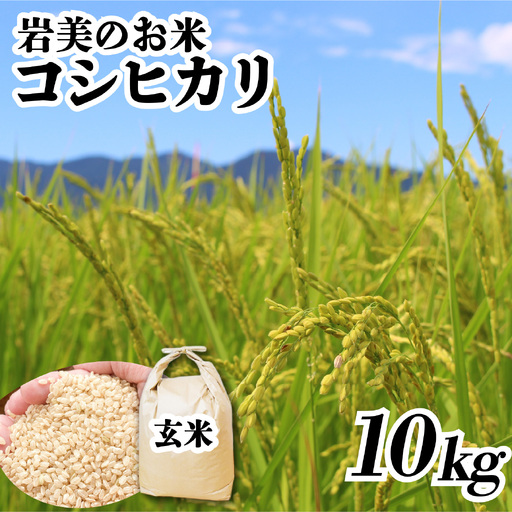 [令和8年産 先行予約]鳥取県岩美町産コシヒカリ(玄米)10kg|鳥取 岩美 吉田美宝農園 こしひかり [31033]