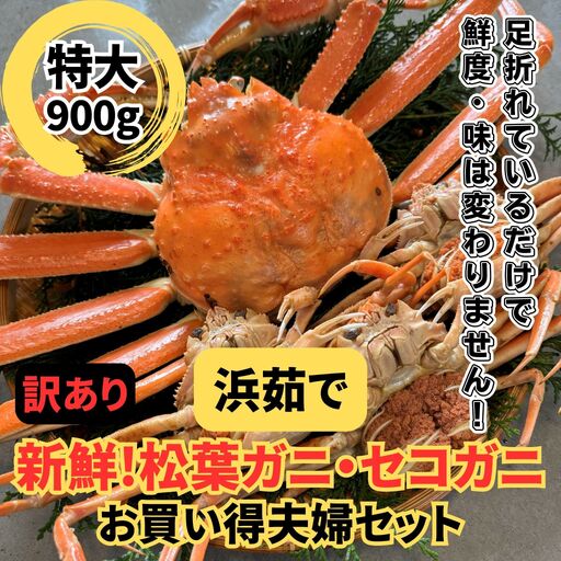 [訳あり]浜茹で!松葉ガニ・セコガニセット|鳥取網代港 岩美 松葉がに ずわいがに かに ※お届けは2026年11月中旬〜[さかなや新鮮組][22100]