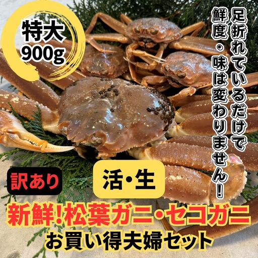 [訳あり]活!松葉ガニ・セコガニセット|鳥取網代港 岩美 松葉がに ずわいがに かに ※お届けは2026年11月中旬〜[さかなや新鮮組][22101]