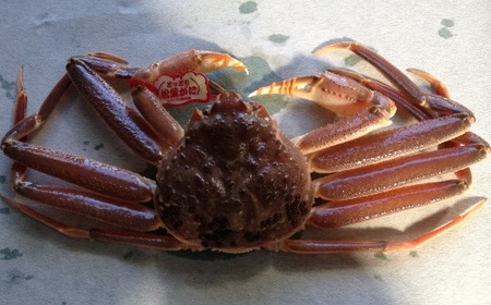 175-2Dyqz^OttKjiWOOj