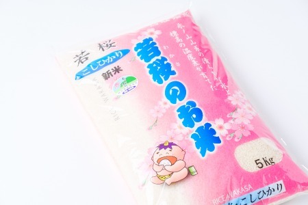 特別栽培米　若桜（わかさ）のお米　コシヒカリ　10kg [363]