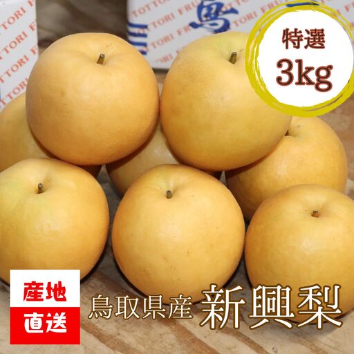 【'26先行予約】【産地直送】 [特選] 鳥取県産 新興梨 3kg ／ 野田農園