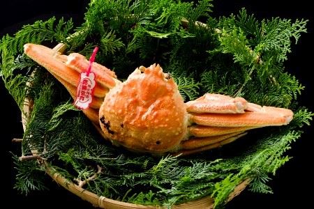 89Dys\z挧Y@^Otl䥂ŏtɁ@700ȏ×2