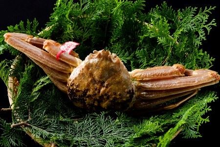 94Dys\z挧Y@^OttɁ@1.2ȏ×1