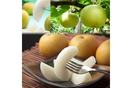 [先行予約]二十世紀梨と旬の赤梨セット 4kg (品種はおまかせ)[215-W15]