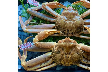 233-WK9Dys\zyzwzyz^OttKj@@2(P500`640O)