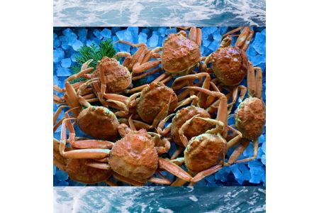 240-WK16Dys\zyzwzyz󂠂葫܂ꂲp@{CYeKjiZRKj10