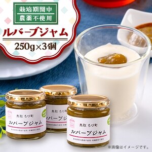 手作りルバーブジャムセット(3個入り)【1219552】