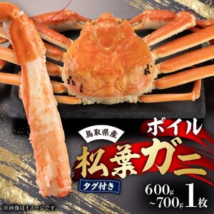 挧Y@^Ot{CtKj1(600g`700g)yzsnFEkCEꌧzy1536354z