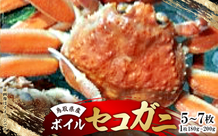 挧Y@{CZRKj@5`7(1:180`200g)yzsnFEkCEꌧzy1536356z