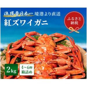 yIZuzYCKj(gYCKj)2kgl(4`6t)yzsnFEkCEꌧEkE֓EMzAkECEBzy1543631z