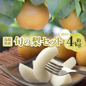 y󂠂z挧Y{̗Zbg 4kgyzsnFEkCEꌧzy1554510z