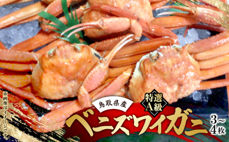 鳥取境港産 特選A級ベニズワイガニ詰め合わせ(3〜4枚)[配送不可地域:離島・北海道・沖縄県]