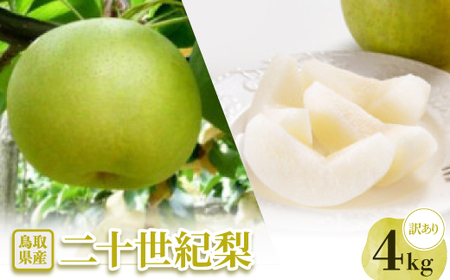 y󂠂z\I@4kgyzsnFEkCEꌧzy1593369z