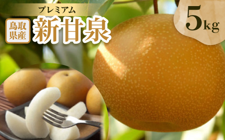 v~AVÐ 5kgyzsnFEkCEꌧzy1593371z