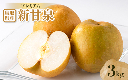 v~AVÐ 3kgyzsnFEkCEꌧzy1593374z