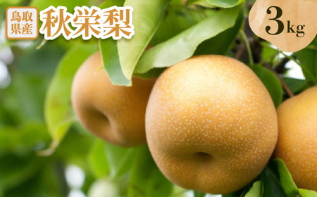 Hh@3kgyzsnFEkCEꌧzy1593375z