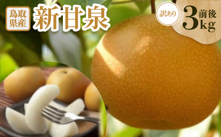 󂠂@VÐ(񂩂񂹂)@3kgOyzsnFEkCEꌧzy1593377z