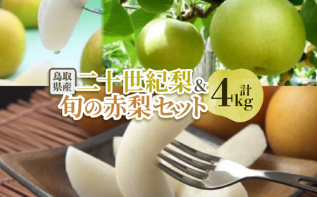 \IƏ{̐ԗZbg 4kgyzsnFEkCEꌧzy1593378z