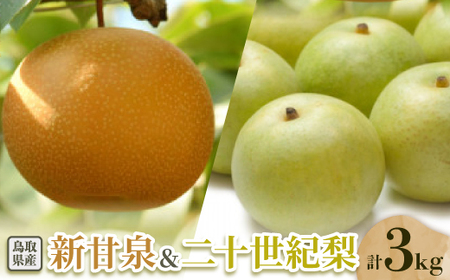 \IƐVÐ̃Zbg 3kgyzsnFEkCEꌧzy1593387z