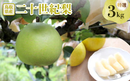 \I I3kgyzsnFEkCEꌧzy1593389z