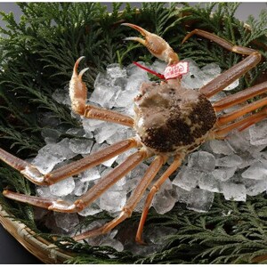 �y��s�\��z���挧�Y �^�O�t�� �����t���� 1kg�ȏ�×3�t(�������X)25�N12���E26�N1�������y�z���s�n��F�����E�k�C���E���ꌧ�E���k�E�M�z�A�k���z�y1692717�z