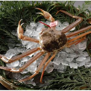 �y��s�\��z���挧�Y �^�O�t�� �� ���t���� 700g×1�t(�������X)25�N12���E26�N1�������y�z���s�n��F�����E�k�C���E���ꌧ�E���k�E�M�z�A�k���z�y1692718�z