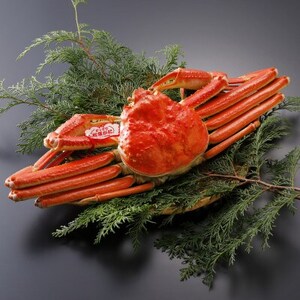 �y��s�\��z���挧�Y �^�O�t�� � ���t���� 700g×1�t(�������X)25�N12���E26�N1�������y�z���s�n��F�����E�k�C���E���ꌧ�E���k�E�M�z�A�k���z�y1692760�z