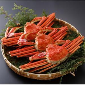 �y��s�\��z���挧�Y �^�O�t�� � ���t���� 700g×3�t(�������X)25�N12���E26�N1�������y�z���s�n��F�����E�k�C���E���ꌧ�E���k�E�M�z�A�k���z�y1692767�z