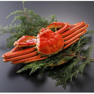 �y��s�\��z���挧�Y �^�O�t�� � ���t���� 500g×1�t(�������X)25�N12���E26�N1�������y�z���s�n��F�����E�k�C���E���ꌧ�E���k�E�M�z�A�k���z�y1692768�z