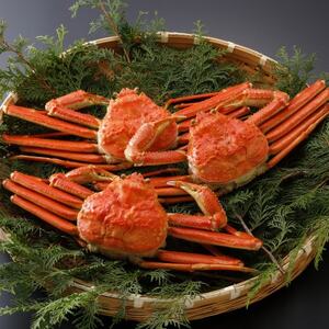 �y��s�\��z���挧�Y �󂠂� � ���t���� 500g×3�t(�������X)25�N12���E26�N1�������y�z���s�n��F�����E�k�C���E���ꌧ�E���k�E�M�z�A�k���z�y1692807�z