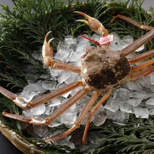 �y��s�\��z���挧�Y �^�O�t�� �����t���� 1kg�ȏ�×1�t(�������X)2026�N1������菇�������y�z���s�n��F�����E�k�C���E���ꌧ�E���k�E�M�z�A�k���z�y1692834�z