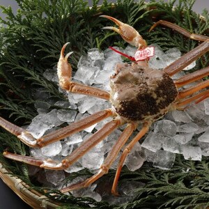 �y��s�\��z���挧�Y �^�O�t�� �����t���� 1kg�ȏ�×2�t(�������X)2026�N1������菇�������y�z���s�n��F�����E�k�C���E���ꌧ�E���k�E�M�z�A�k���z�y1692898�z