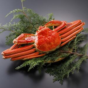 �y��s�\��z���挧�Y �^�O�t�� � ���t���� 700g×1�t(�������X)2026�N1������菇�������y�z���s�n��F�����E�k�C���E���ꌧ�E���k�E�M�z�A�k���z�y1692925�z