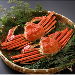 �y��s�\��z���挧�Y �^�O�t�� � ���t���� 700g×2�t(�������X)2026�N1������菇�������y�z���s�n��F�����E�k�C���E���ꌧ�E���k�E�M�z�A�k���z�y1692926�z