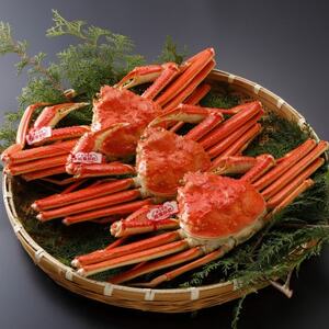 �y��s�\��z���挧�Y �^�O�t�� � ���t���� 500g×3�t(�������X)2026�N1������菇�������y�z���s�n��F�����E�k�C���E���ꌧ�E���k�E�M�z�A�k���z�y1692931�z