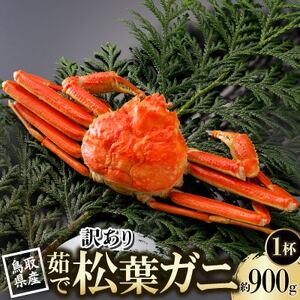 �y��s�\��z���挧�Y �󂠂� � ���t���� 900g×1�t(�������X)2026�N1������菇�������y�z���s�n��F�����E�k�C���E���ꌧ�E���k�E�M�z�A�k���z�y1692932�z