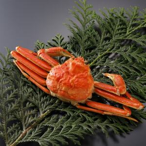 �y��s�\��z���挧�Y �󂠂� � ���t���� 700g×1�t(�������X)2026�N1������菇�������y�z���s�n��F�����E�k�C���E���ꌧ�E���k�E�M�z�A�k���z�y1692935�z