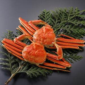 �y��s�\��z���挧�Y �󂠂� � ���t���� 700g×2�t(�������X)2026�N1������菇�������y�z���s�n��F�����E�k�C���E���ꌧ�E���k�E�M�z�A�k���z�y1692936�z