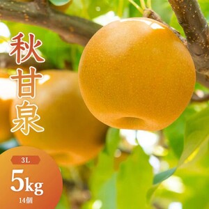 秋甘泉(秀) 5kg(3L)