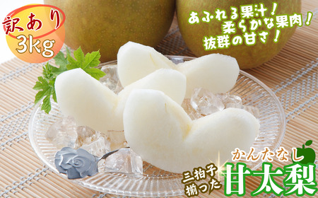 [訳あり]甘太梨 3kg