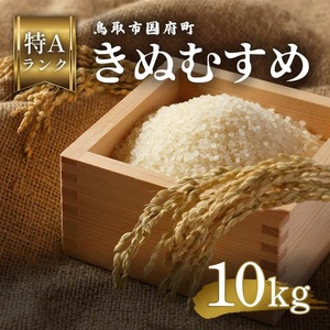 鳥取県産 きぬむすめ 令和7年産 精米済 10kg(5kg×2袋)