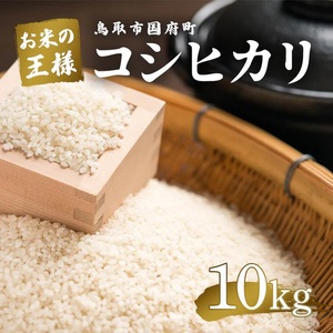 鳥取県産 コシヒカリ 令和7年産 精米済 10kg(5kg×2袋)